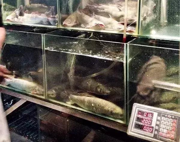 烤鱼店十款烤鱼秘制配方制作工艺,正宗烤鱼制作方法全过程