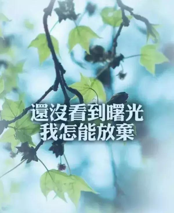 微商早安励志正能量词语,微商励志短句霸气语录