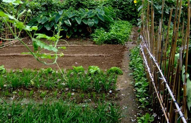 餐饮白手起家创业点子,有什么好的创业点子