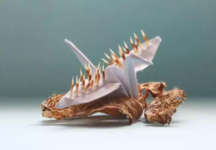 他用3个月时间，折叠了1000只千纸鹤，送给了他最亲爱的姑娘