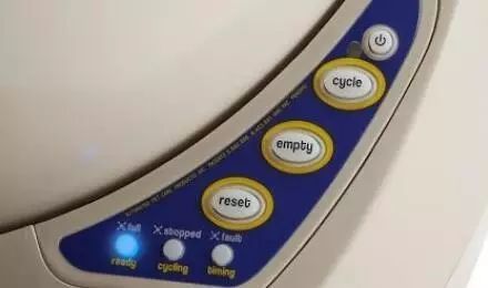 养猫如何不铲屎,什么猫不用铲屎呢