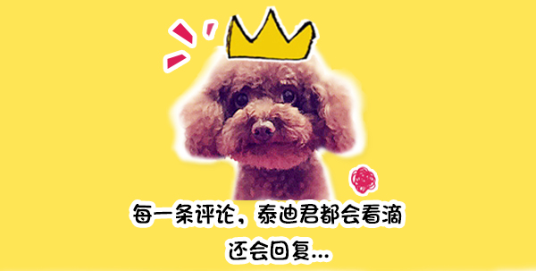 猫奴凭什么认为猫和人平等,猫奴会遇到的难题