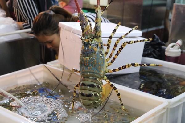 在冬季里享受一下三亚夏日的海风,来享受三亚夏日与海风