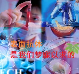 乙肝两对半第25项阳性,乙肝25阳性dna阳性是得了乙肝吗