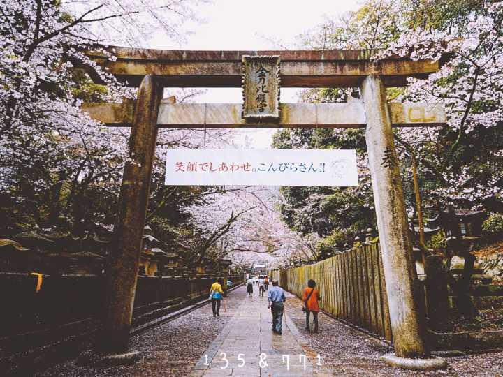 吃日料还是要去日本,吃日料送老字号