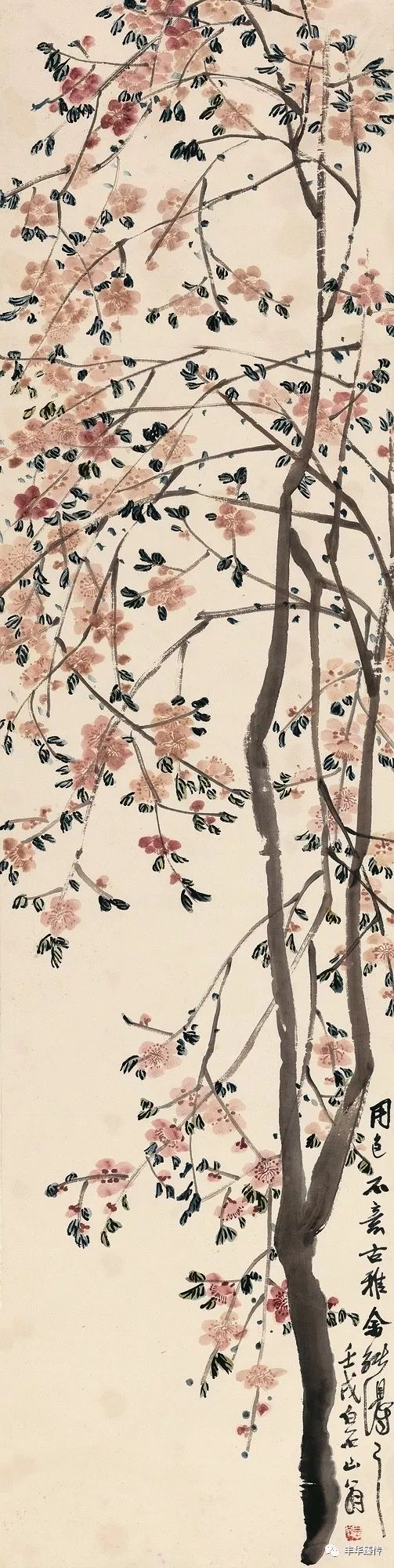 中国嘉德最新征集,中国嘉德国际拍卖