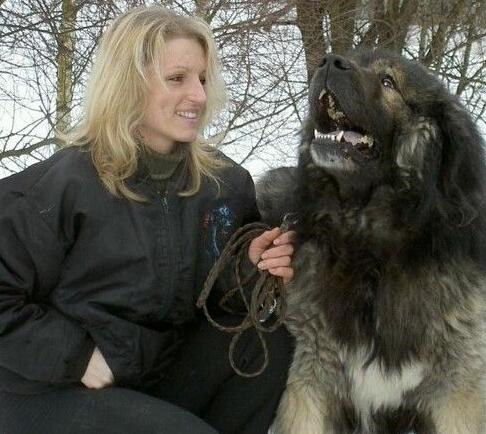 成年犬呕吐怎么办,成年犬呕吐厉害咋办