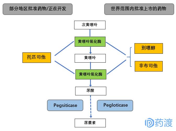 降低痛风的药,痛风时最好不要开始服用降尿酸药