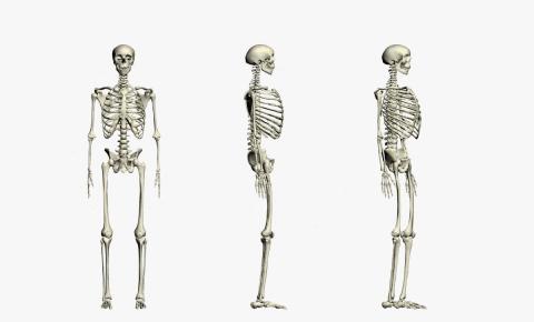 每天补钙有什么危害,每天补钙多了会容易堵奶吗