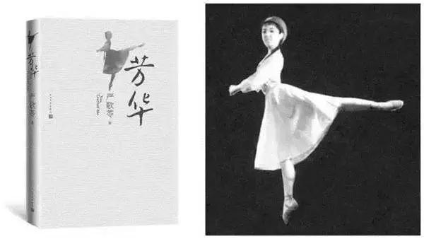 是什么让严歌苓猛然转身?