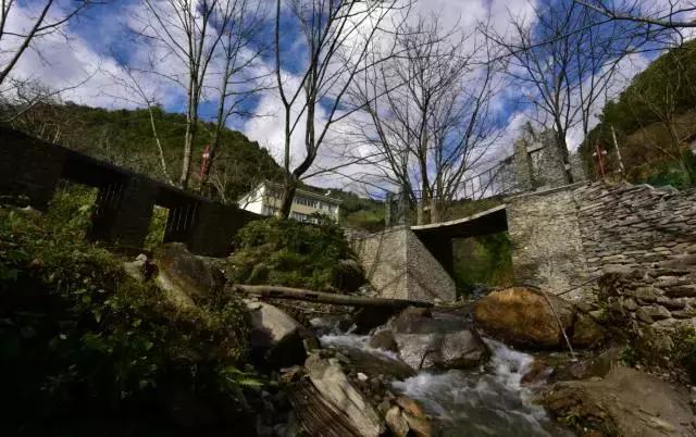 无量山樱花谷夏天,无量山樱花谷雾里看花