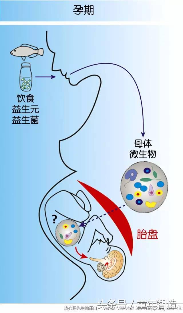 科学养娃真的科学么,科学有用常识小知识
