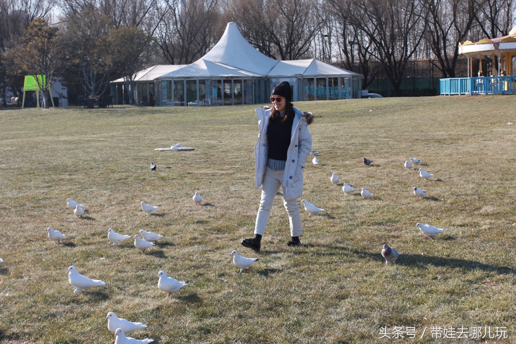 奥森附近小动物乐园,奥森公园世外桃源