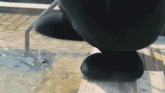 十大公认最好的温泉,江浙沪十大室外温泉