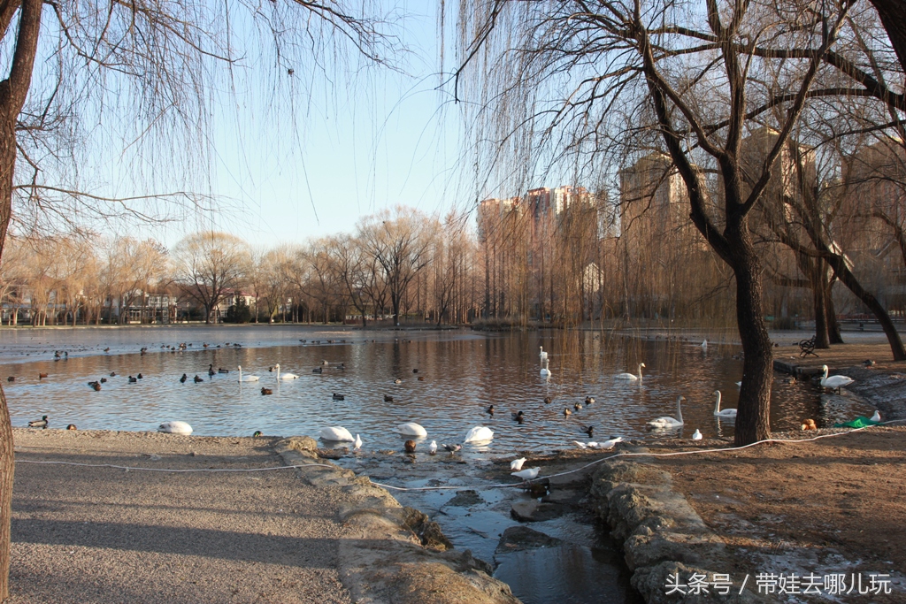 奥森附近小动物乐园,奥森公园世外桃源