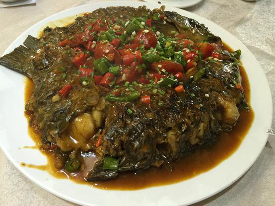 去阳朔一定要吃的美食,阳朔旅游必吃美食