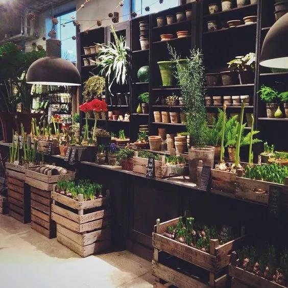 开花店需要准备什么,开一个花店需要准备哪些