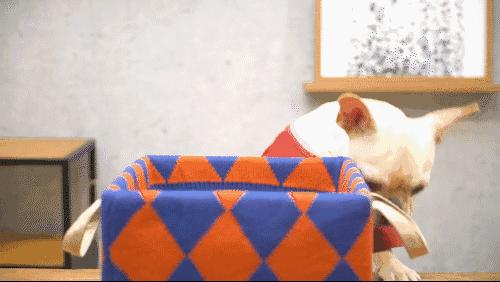 毛衣改造1000个创意,旧毛衣改造帽子最简单方法