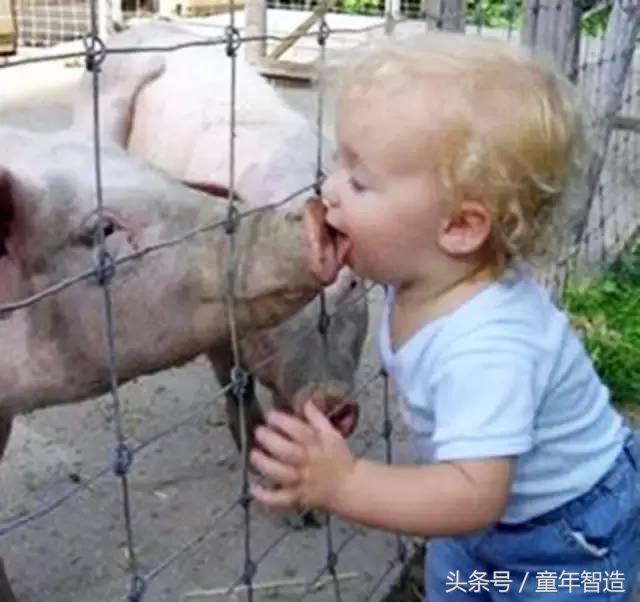 科学养娃真的科学么,科学有用常识小知识