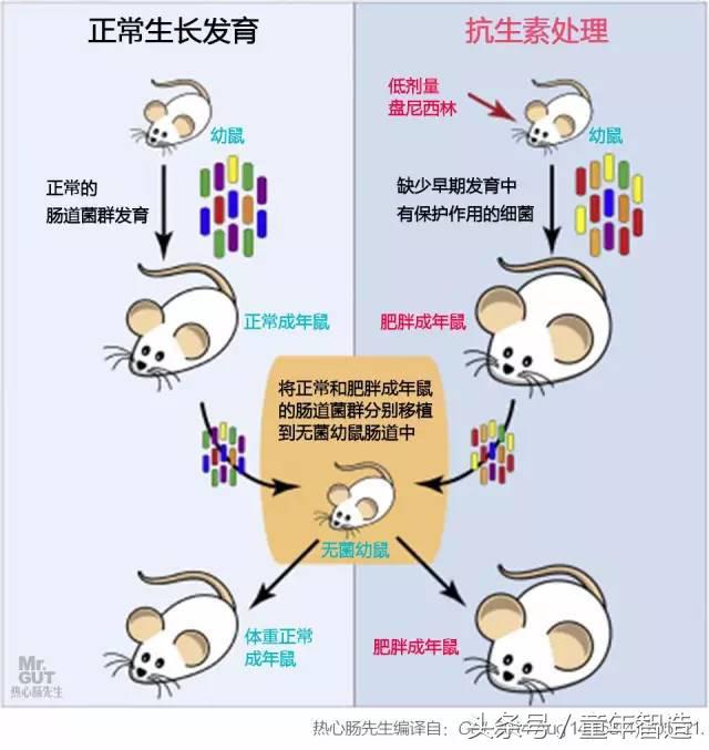 科学养娃真的科学么,科学有用常识小知识