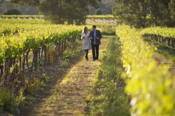 下周广东最高温度 (广东下周最低气温10左右)