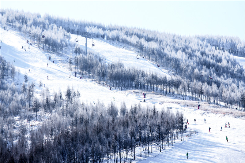 冰情雪趣绘画,冰情雪趣创意画