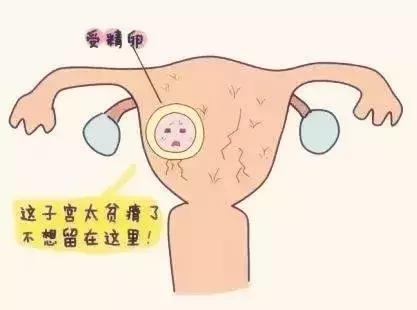 为什么会有人选择打胎,为什么会后悔打胎