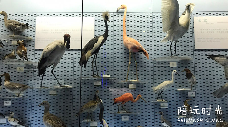 杭州带着孩子去哪玩比较合适,杭州带小孩子去玩的地方推荐