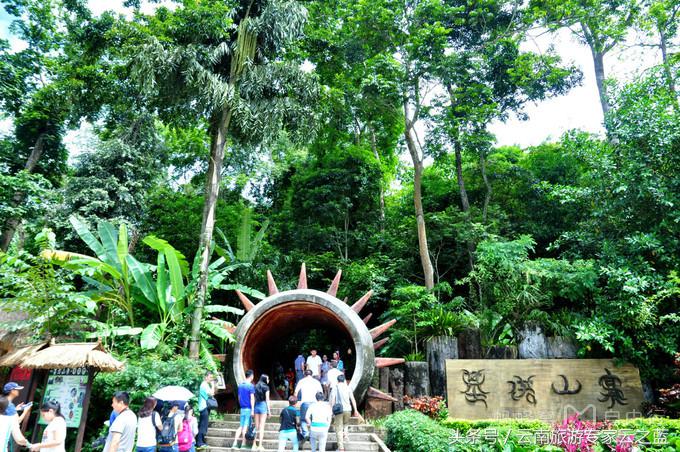西双版纳穿越热带雨林攻略,西双版纳雨林旅游攻略