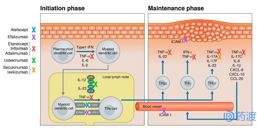 治疗银屑病生物制剂的优势,生物制剂治银屑病中的应用论文