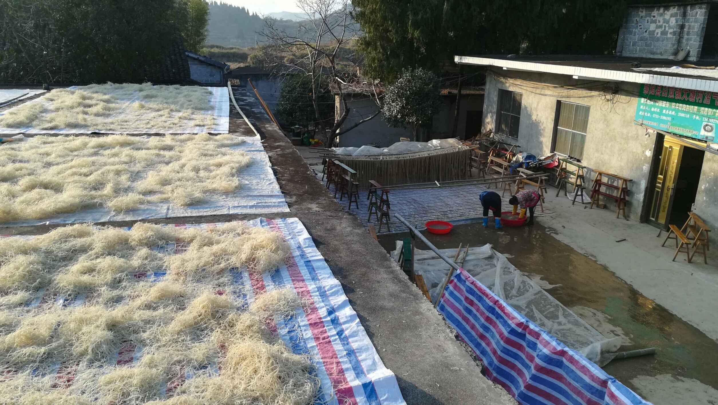 正宗的崇阳苕粉,崇阳苕粉冻的做法