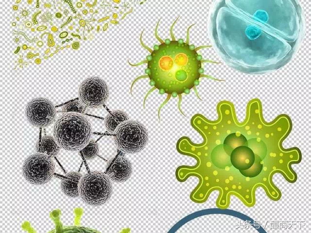 室内空气污染物存在状态,室内空气中常见的污染物名称