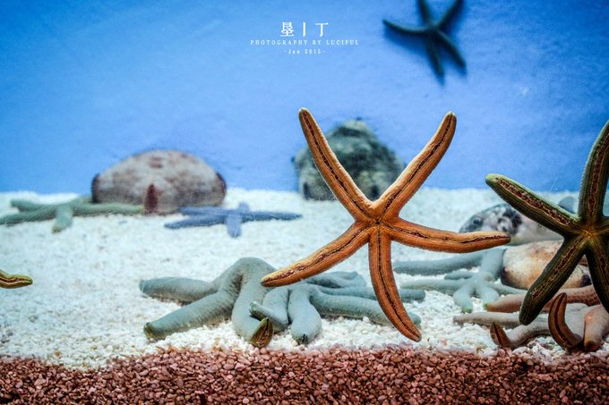 旅行大美,台湾旅游攻略垦丁