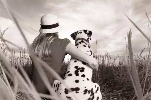 没能力的时候真的不要养狗,因为害怕失去你所以失态了