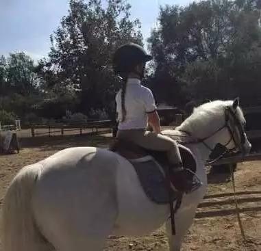 年收入6亿元的贝克汉姆家是如何养娃的？