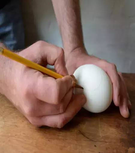 用鸡蛋壳这样养花1年不用施肥,鸡蛋壳别再扔了这样做比肉还好吃