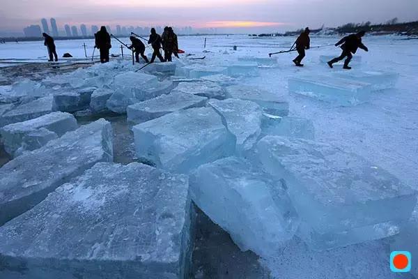 哈尔滨旅游攻略纯干货,哈尔滨最值得冬天去玩的地方推荐