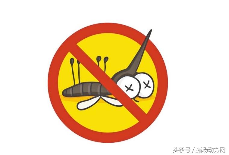 养猪15个绝招,养猪常用9种药