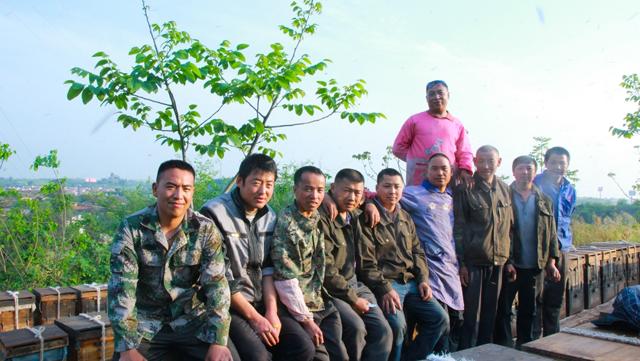 为什么正宗的好蜂蜜这么难卖,超市买的蜂蜜为什么不结晶