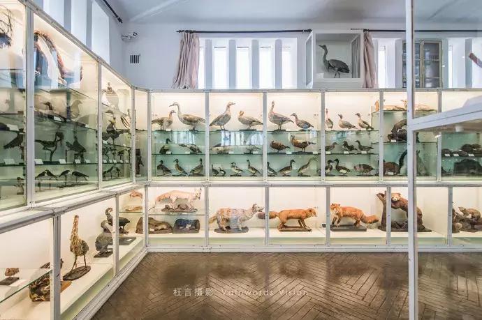 天津一日游必去的十个景点介绍,天津旅游必去十大景点1日游攻略