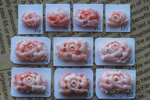 什么样的珊瑚是最好的,最好看的十种珊瑚