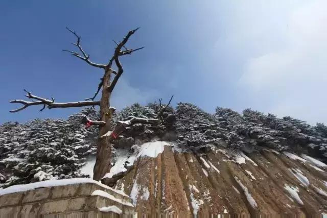 鍐父榛勫北濂借繕鏄崕灞卞ソ,鍐父鍗庡北鏀荤暐