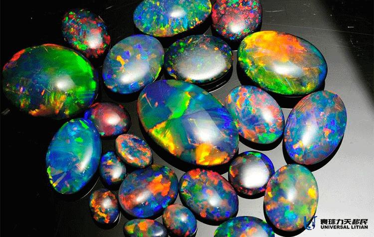 去澳大利亚要买的东西,去澳大利亚旅游需要带的必需品