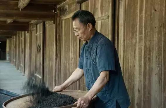 茶师系列第二期|因为骏德,所以骏眉