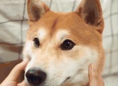 冬天显瘦单品有哪些,冬天最适合瘦身的动作