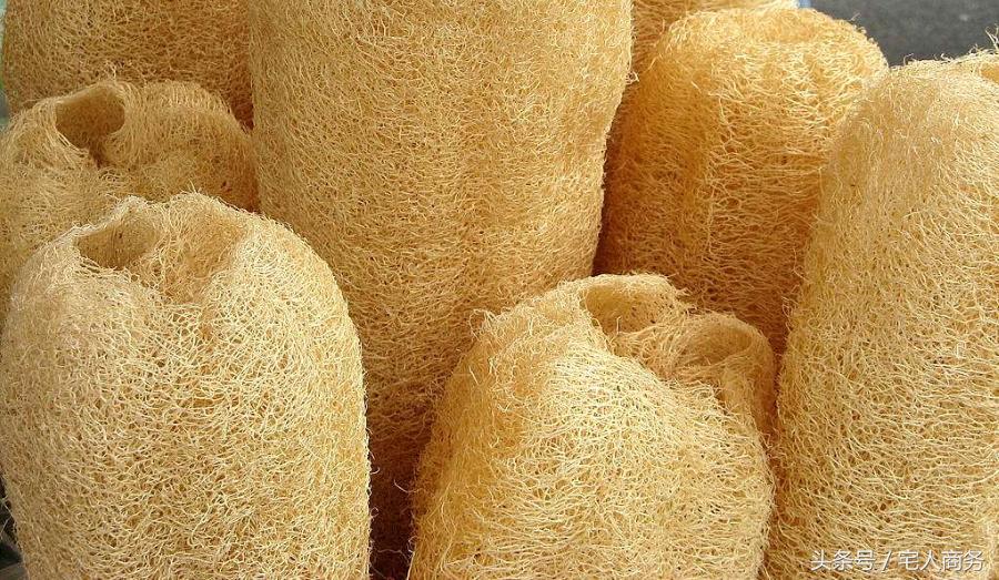 疝气病能吃中药治疗吗,小肠疝气最好的食疗方法