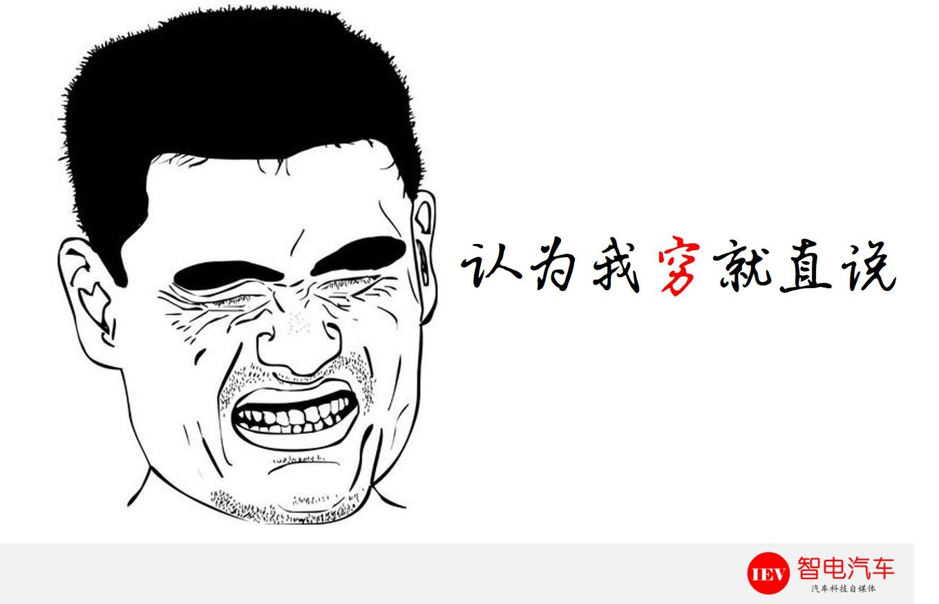 开的众泰汽车回农村,众泰电动迎宾踏板