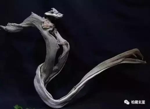 树根变艺术品,万万没想到竹根雕竟也能玉化包浆