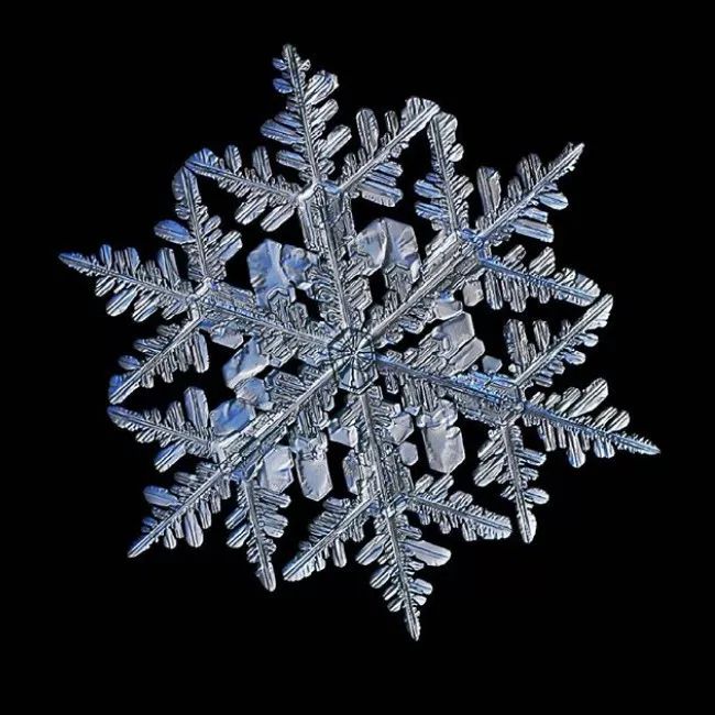 历时8年用微距镜头拍摄的雪花,超级微距拍摄雪花