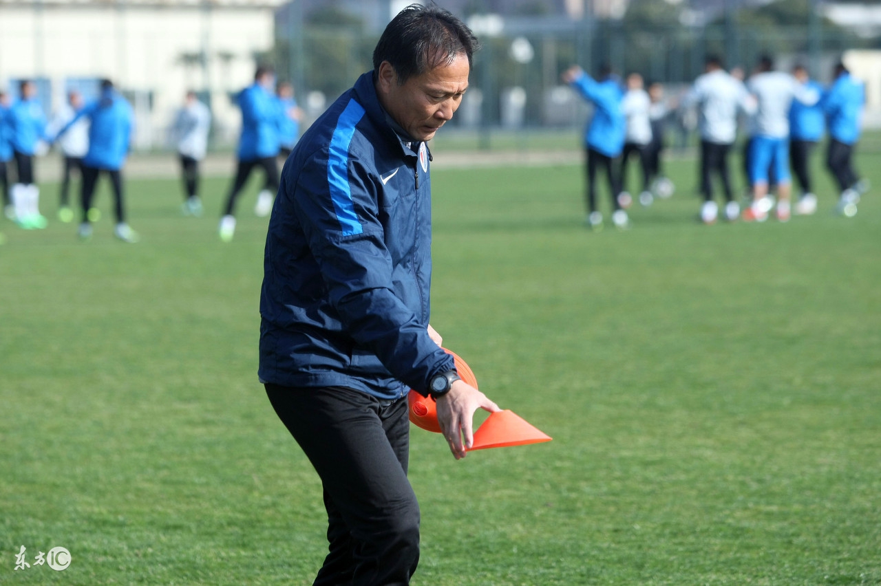 国产十大足球教练,中国足球国产教练